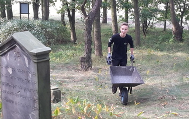 Wrześniowe porządki na cmentarzu żydowskim w Miejscu 19