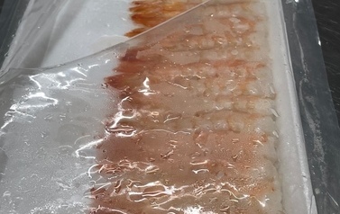 Kurs sushi 8