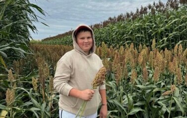 Dzień sorgo 2