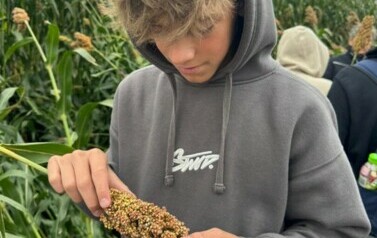 Dzień sorgo 7