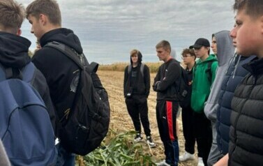 Dzień sorgo 8