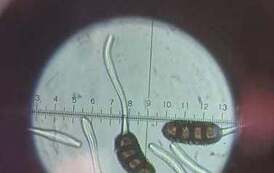 Wizyta na Uniwersytecie Przyrodniczym 1