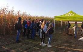 Warsztaty polowe - nauka i doradztwo  4