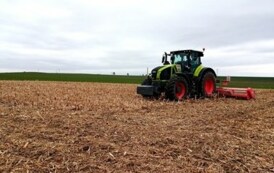 Uczniowie 3 klasy agrobiznesu  podczas mulczowania kukurydzy i wykonywania orki  zimowej 4