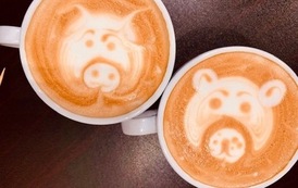 Kurs baristy w Rolniku 6