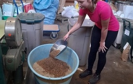 Doskonalenie zawodowe uczni&oacute;w technikum żywieni i technikum agrobiznesu podczas praktyki w Hesji 2022 1