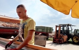 Doskonalenie zawodowe uczni&oacute;w technikum żywieni i technikum agrobiznesu podczas praktyki w Hesji 2022 2