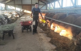 Doskonalenie zawodowe uczni&oacute;w technikum żywieni i technikum agrobiznesu podczas praktyki w Hesji 2022 3