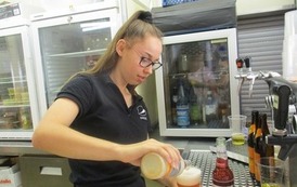 Doskonalenie zawodowe uczni&oacute;w technikum żywieni i technikum agrobiznesu podczas praktyki w Hesji 2022 18