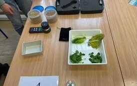 Wsp&oacute;łpraca z Wydziałem Przyrodniczo Technologicznym Uniwersytetu Przyrodniczego 3