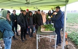 Z wizytą na poletkach doświadczalnych w Jakubowicach 2023 3