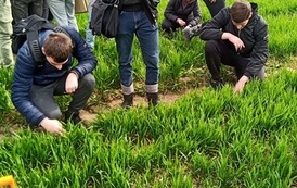 Z wizytą na poletkach doświadczalnych w Jakubowicach 2023 4