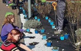 Projekt DPS "Promyk" w Kamiennej 6