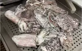 Dlaczego warto jechać na praktykę zagraniczną? Moje refleksje z Rimini 5