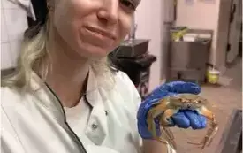 Dlaczego warto jechać na praktykę zagraniczną? Moje refleksje z Rimini 6