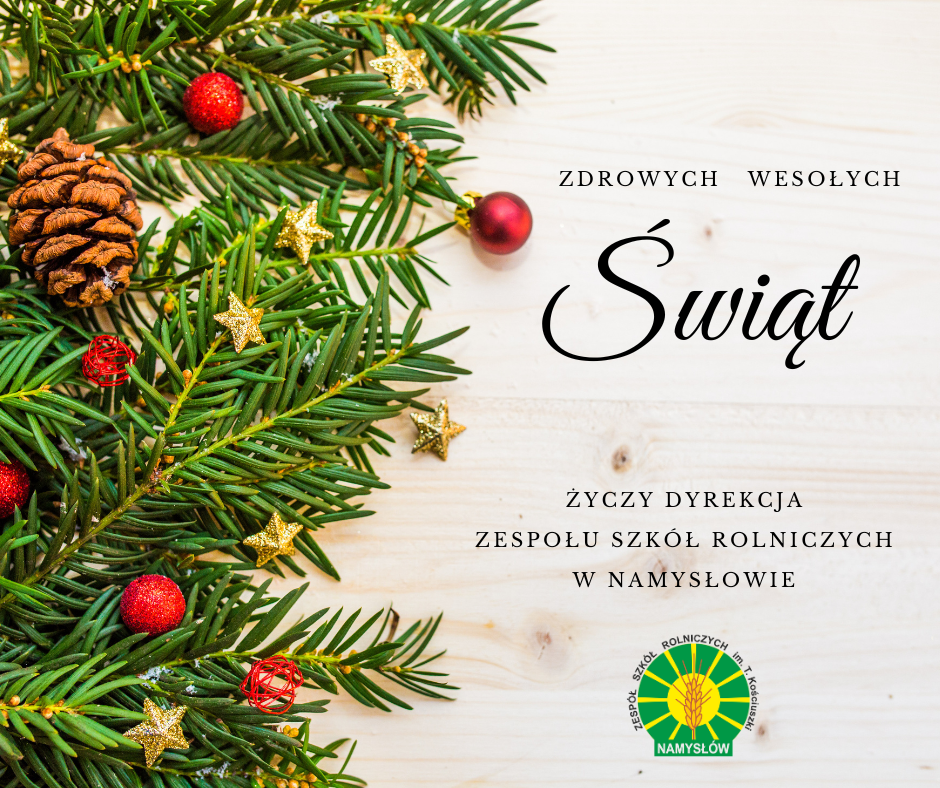 i_szczęśliwego_nowego_roku_Życzy_DYREKCJA_ZESPOŁU_SZK&Oacute;Ł_ROLNICZYCH_W_NAMYSŁOWIE