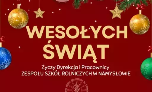 Zdjęcie do Wesołych Świąt !!!